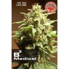 Pure Seeds B3 Medical 3 unid