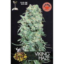 Pure Seeds Viking Haze 10 unid