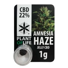 CBD Polen Jelly 22% Amnesia - Plant of Life