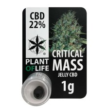 CBD Polen Jelly 22% Critical Mass- Plant of Life