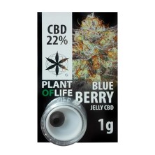 CBD Polen Jelly 22% Blueberry - Plant of Life