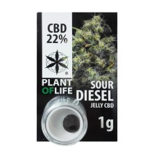 CBD Polen Jelly 22% Sour Diesel- Plant of Life