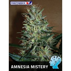 Positronics Amnesia Mistery...