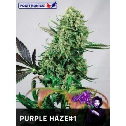 Positronics Purple Haze...