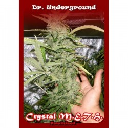 Dr Underground Crystal M.E.H.T. 8Und Fem.