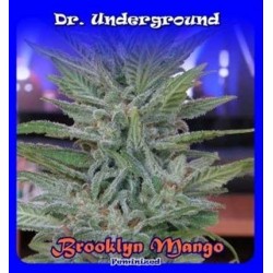 Dr Underground Brooklyn Mango 4Und Fem.