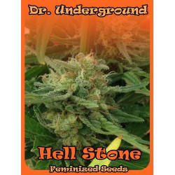 Dr Underground Hell Stone 2Und Fem.