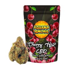 CHERRY HAZE 3gr IGUANA SMOKE CBD