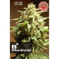Pure Seeds B3 Medical 1 unid