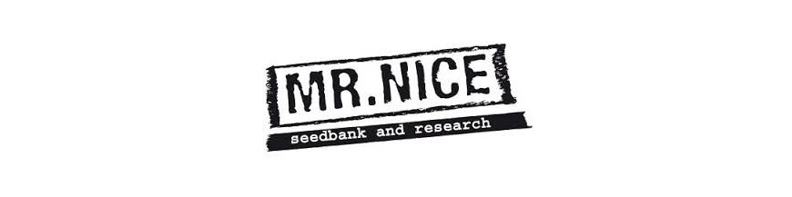 MR NICE SEEDS BANK