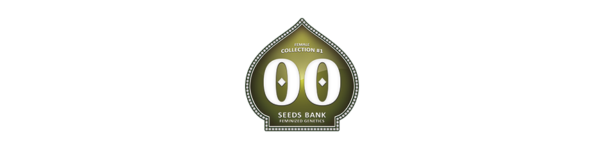 COLLECTION 00 SEEDS BANK 