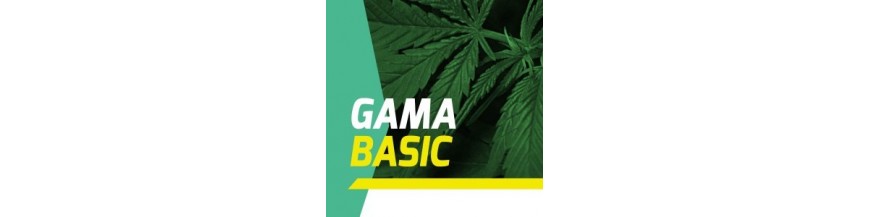 Gama Basic
