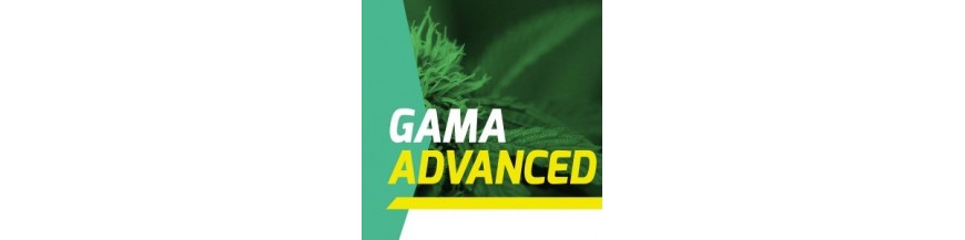 Gama Advanced